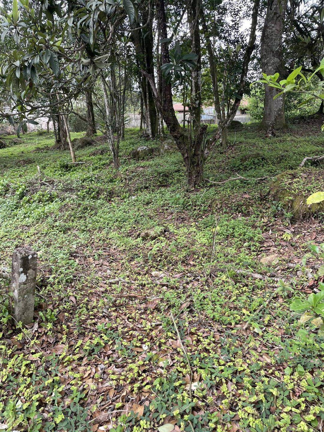 #1240 - Chácara para Venda em São José dos Campos - SP