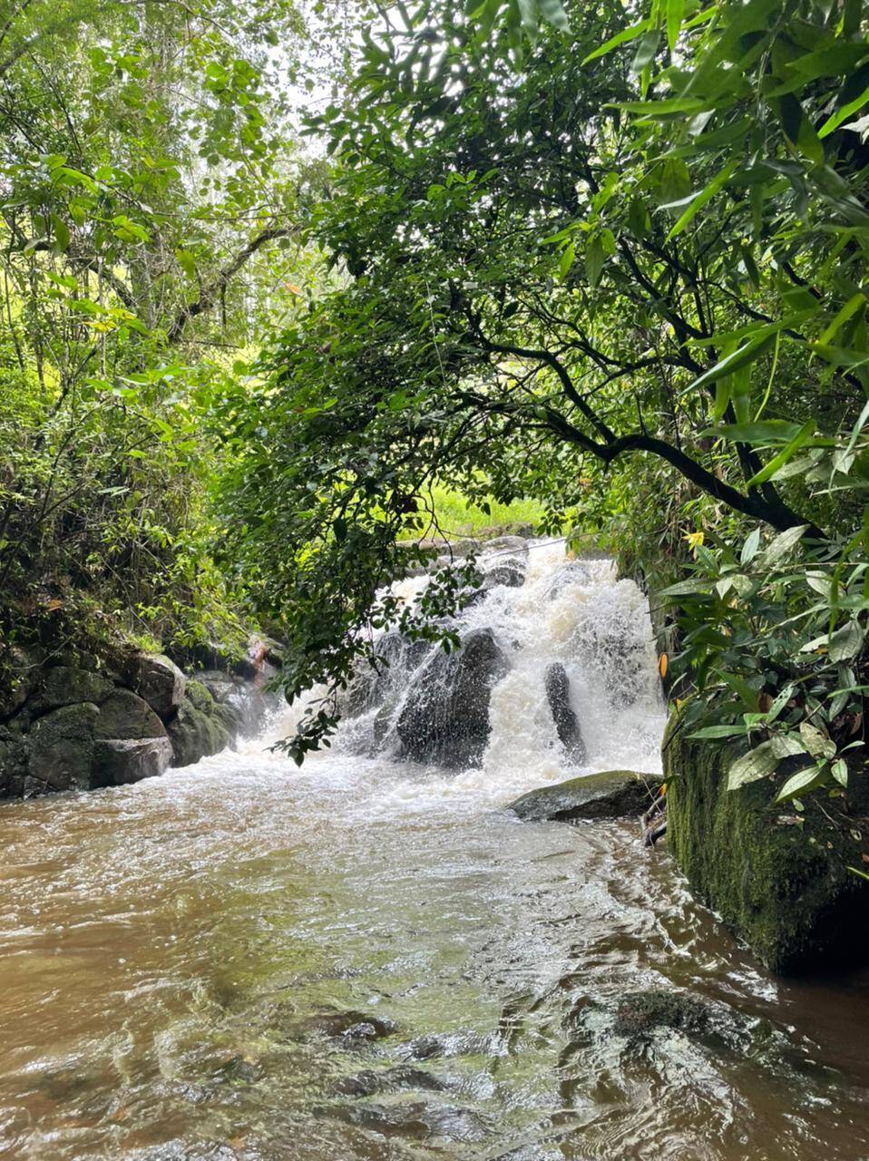 #1354 - Chácara para Venda em São José dos Campos - SP