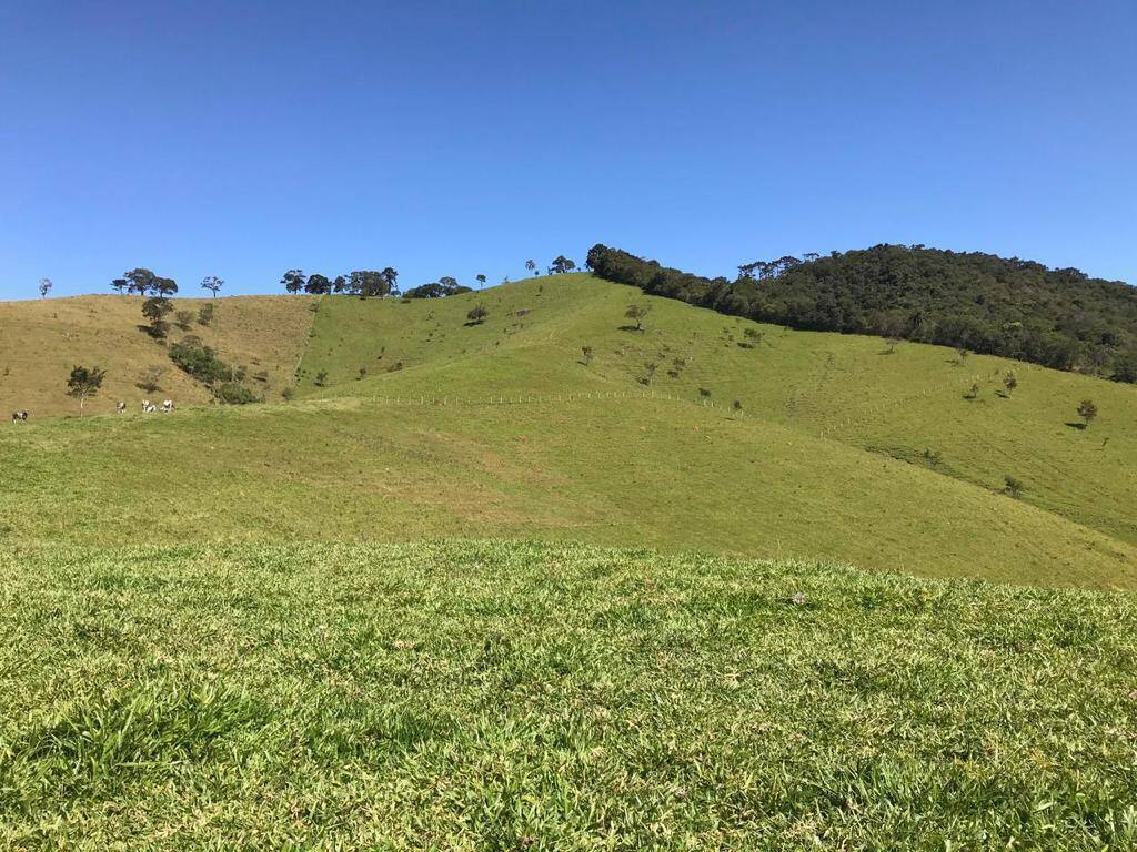 #1389 - Sítio para Venda em Sapucaí-Mirim - MG