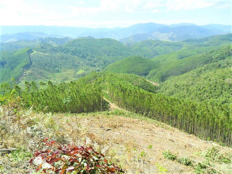 #1675 - Fazenda para Venda em São José dos Campos - SP