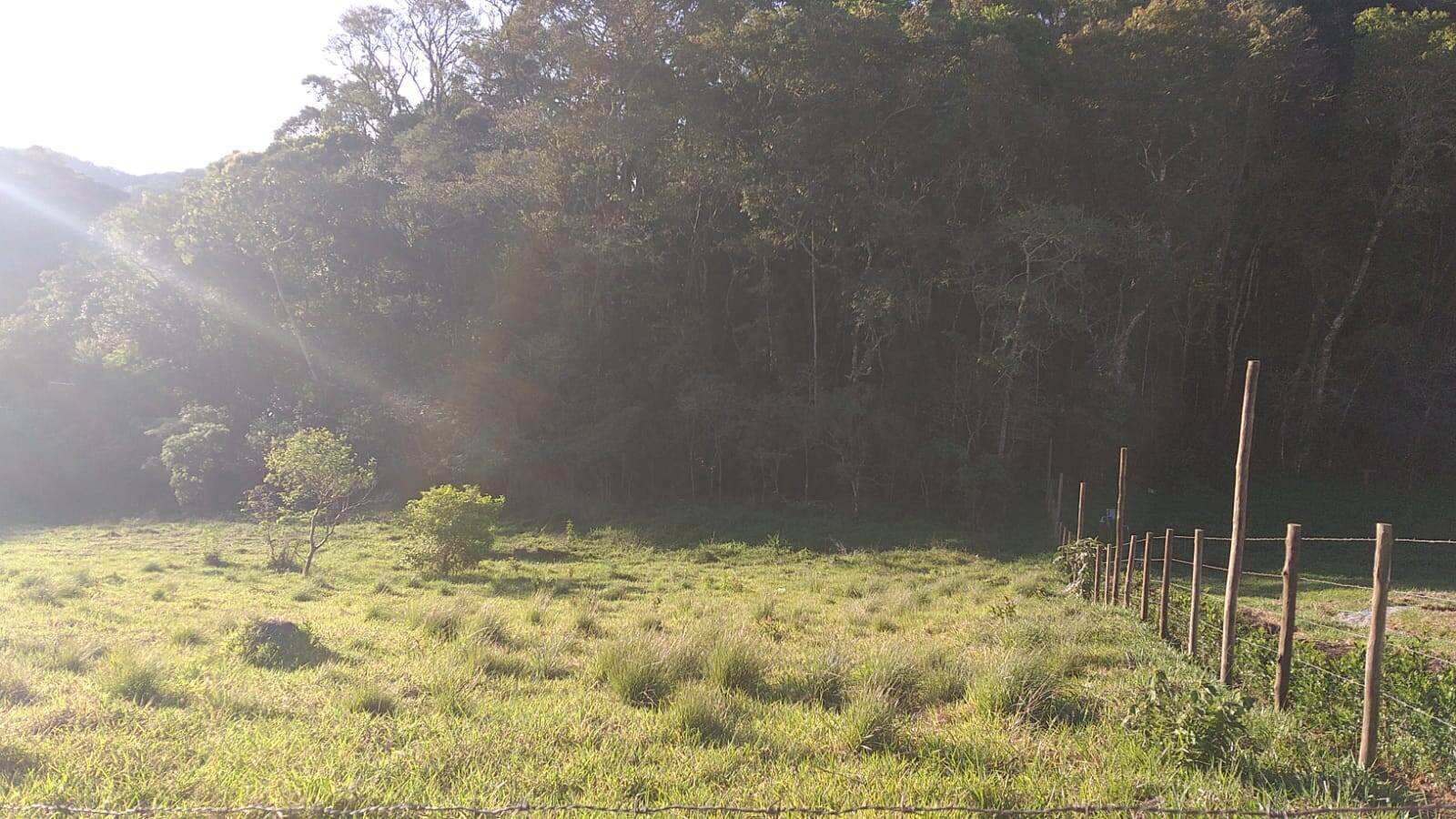#1686 - Sítio para Venda em Santo Antônio do Pinhal - SP