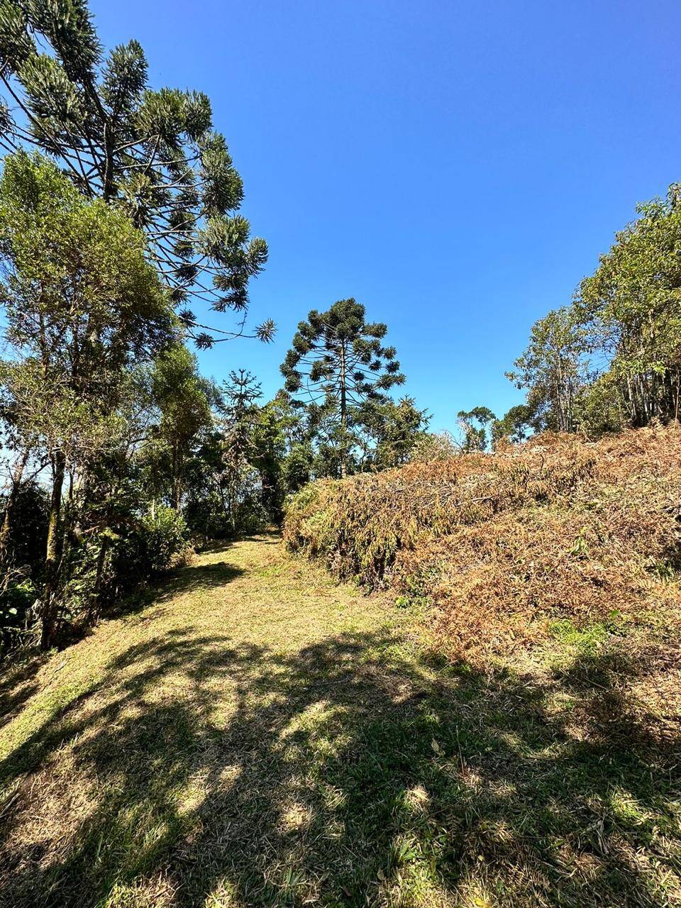 #1713 - Área para Venda em São José dos Campos - SP