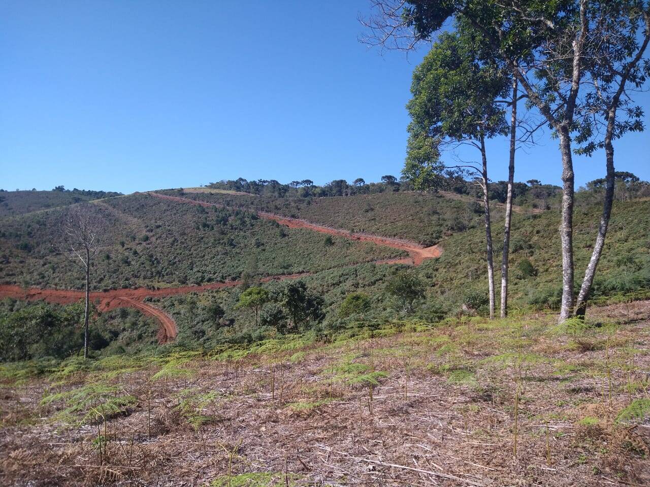 #1727 - Área para Venda em São José dos Campos - SP