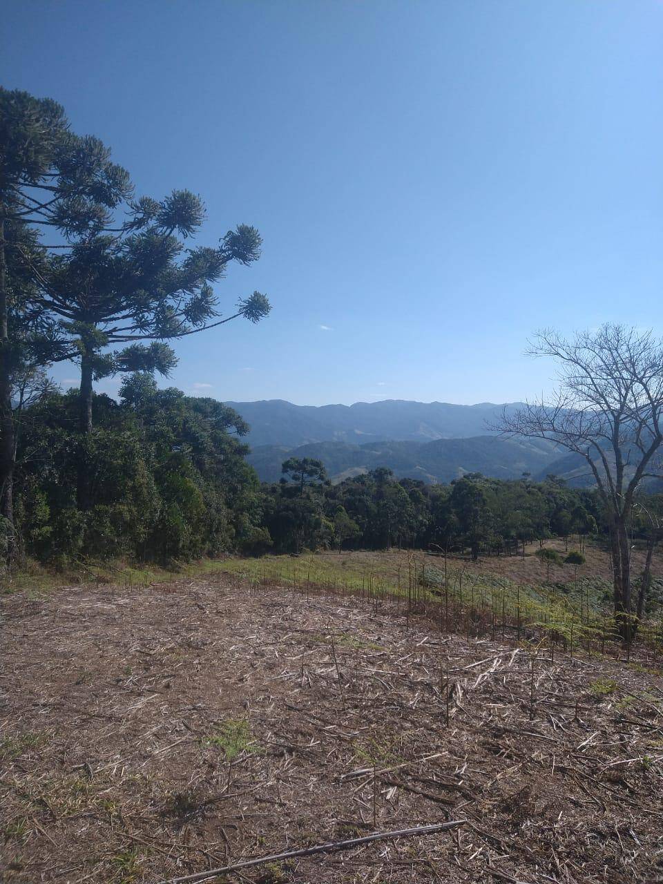 #1729 - Área para Venda em São José dos Campos - SP