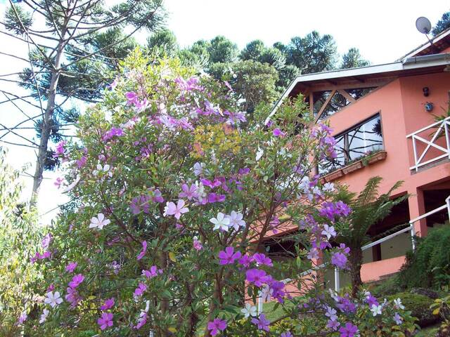 #1624 - Estabelecimento para Venda em Gonçalves - MG - 2