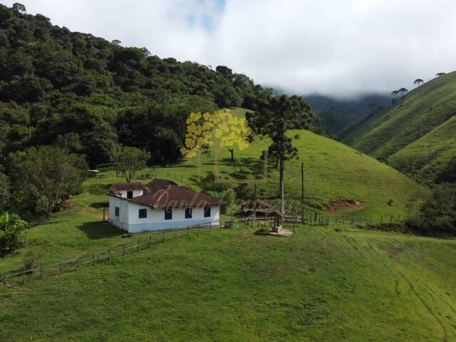 Sítio para Venda em São José dos Campos - 4