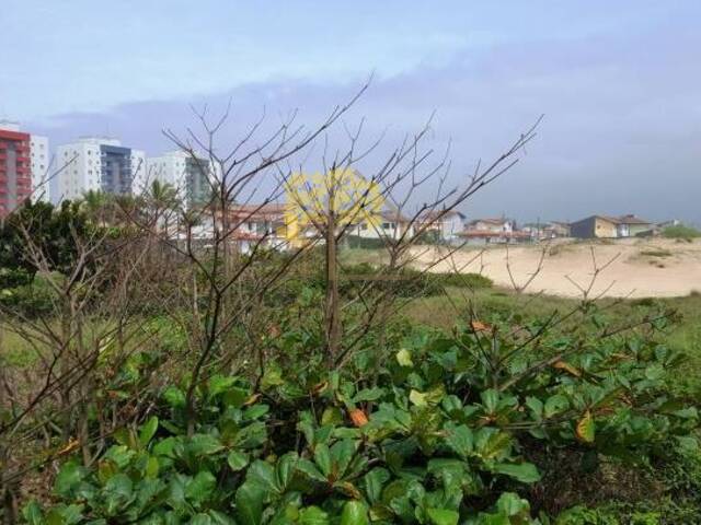 Área para Incorporação para Venda em Itanhaém - 3