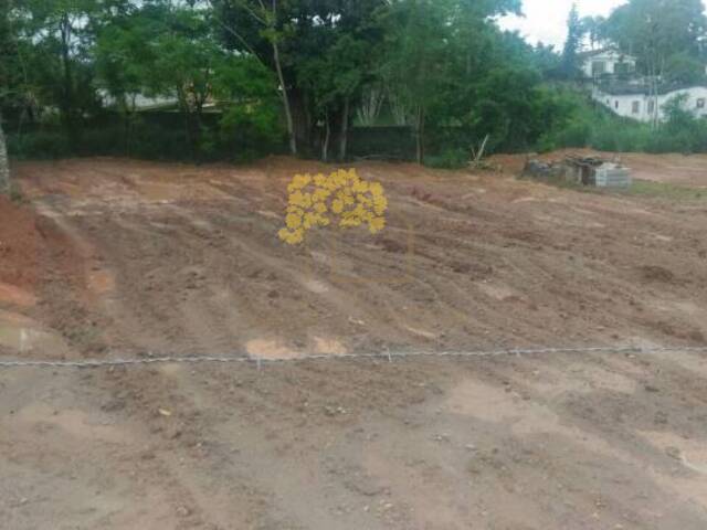 #427 - Terreno para Venda em Pedro de Toledo - SP - 1