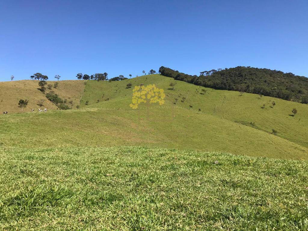 Sapucaí Mirim - terreno a venda.