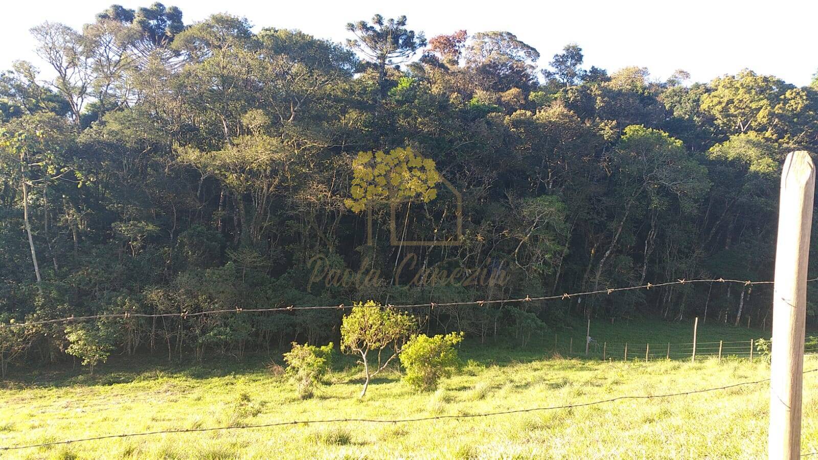Santo Antonio do Pinhal - privacidade em recanto ecológico.