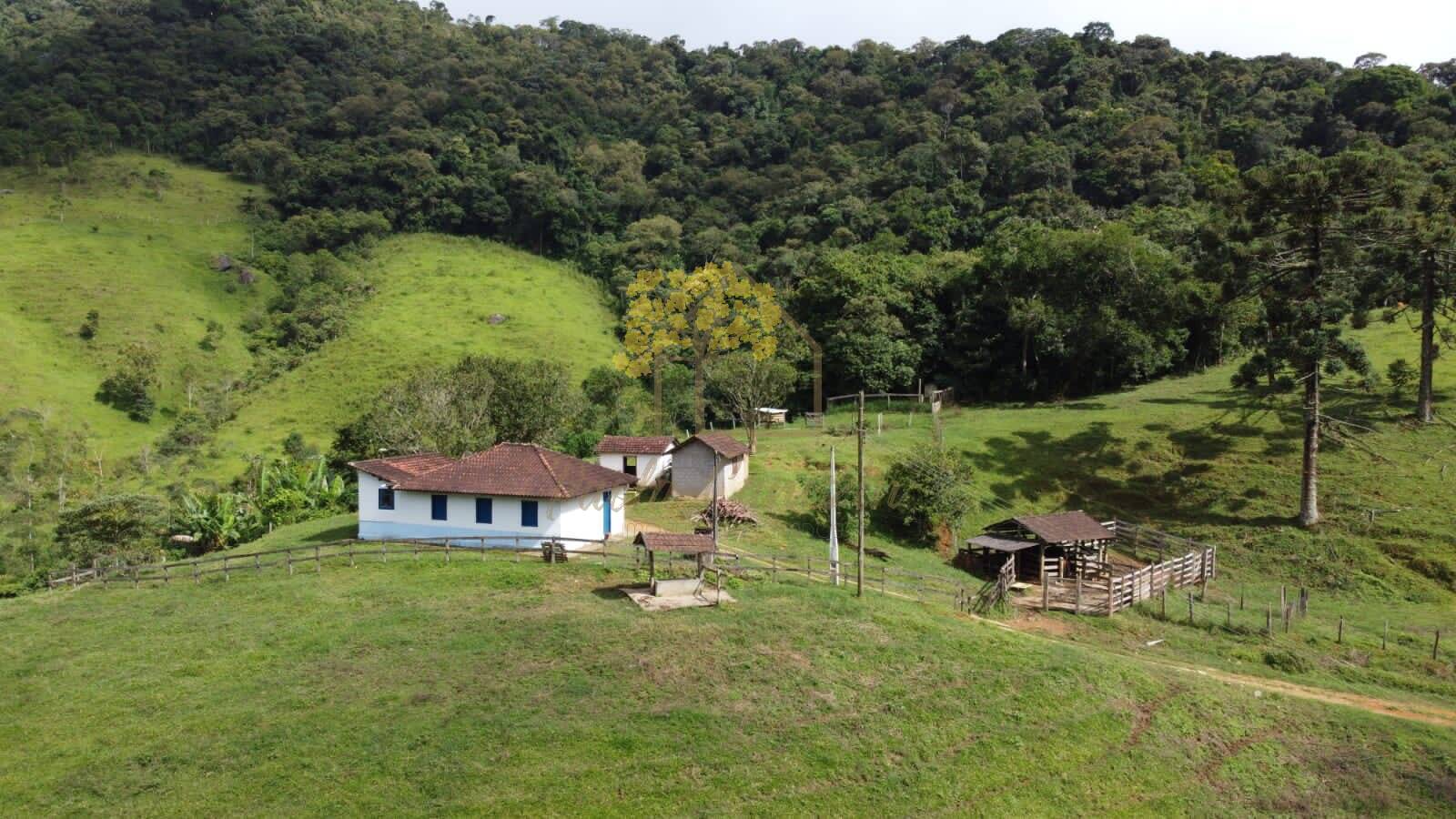 6 alqueires varias nascentes e riachos