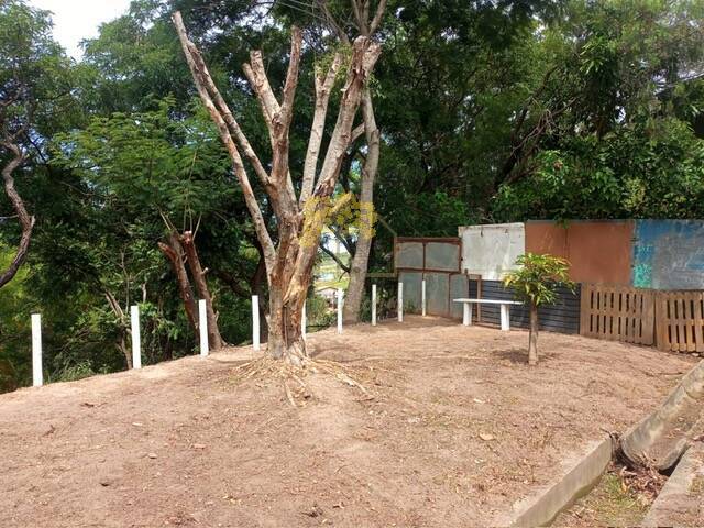 Casa com 3 Dormitórios (1 Suíte) e Amplo Quintal – Santa Rosa (Putim)